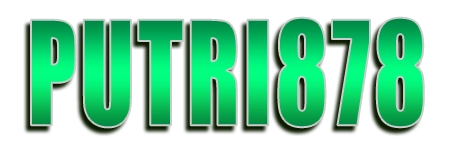 PUTRI878 Logo